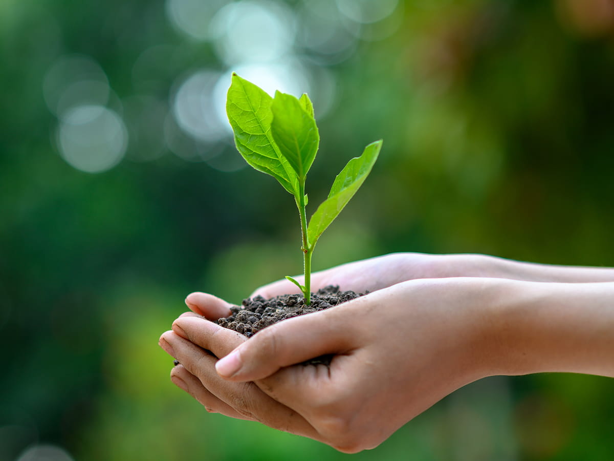 小樽（小樽市）の歯医者、上浦歯科クリニックの環境歯科への取り組み